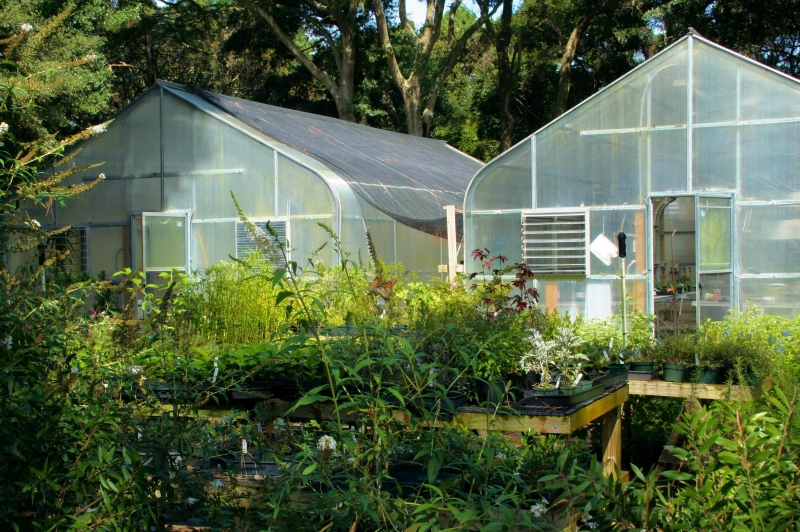 pepiniere-BEZAUDUN LES ALPES-min_greenhouse-60830